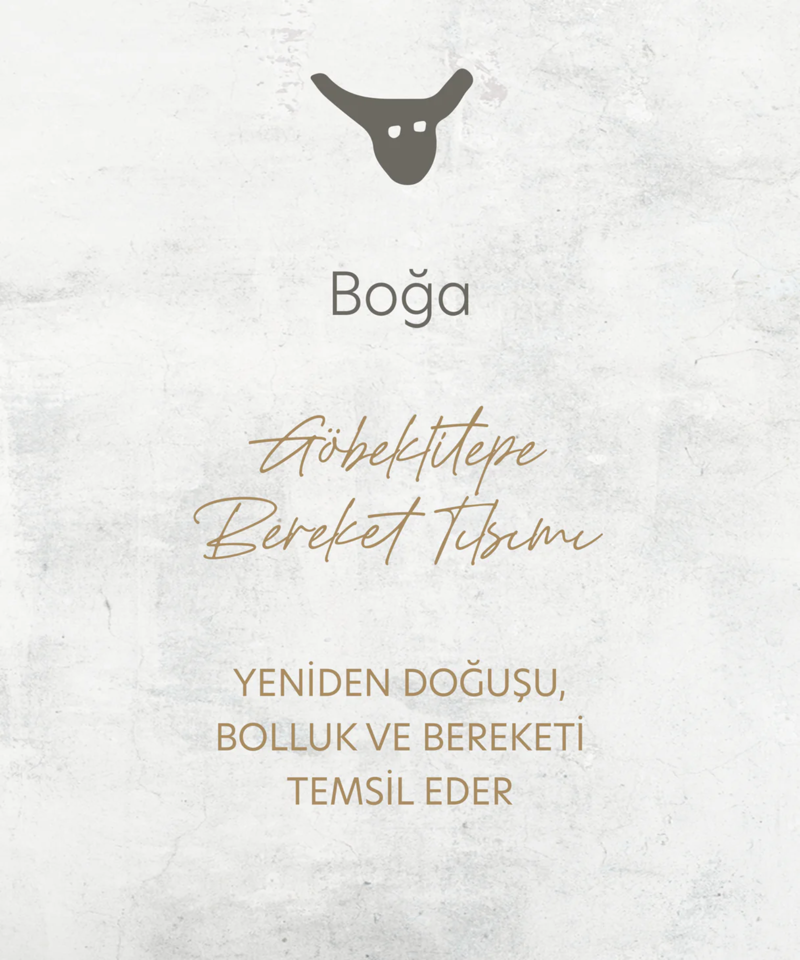 Mercan Boğa Telkari Unisex Yüzük resmi