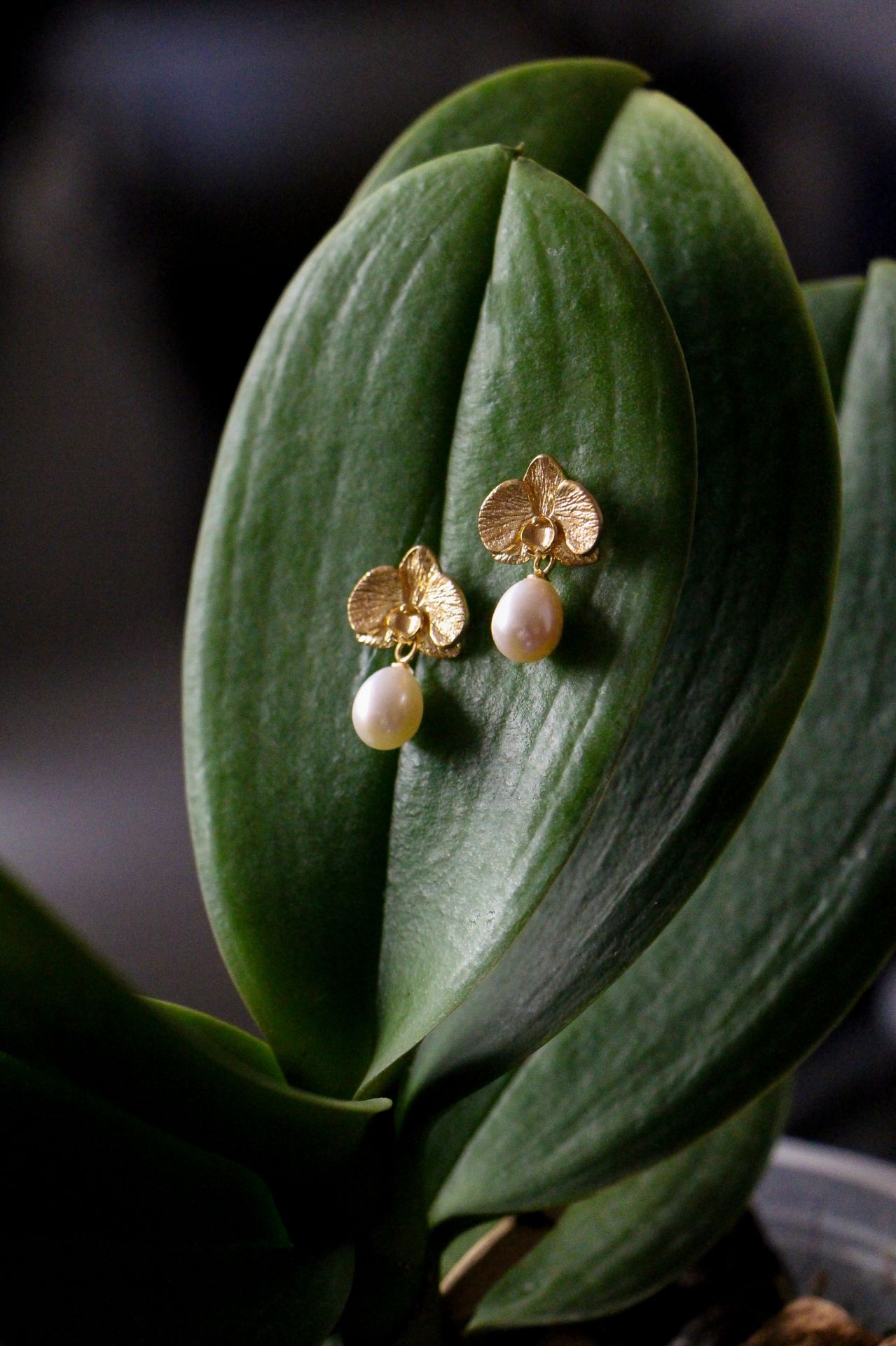 Orkide İnci Küpe resmi