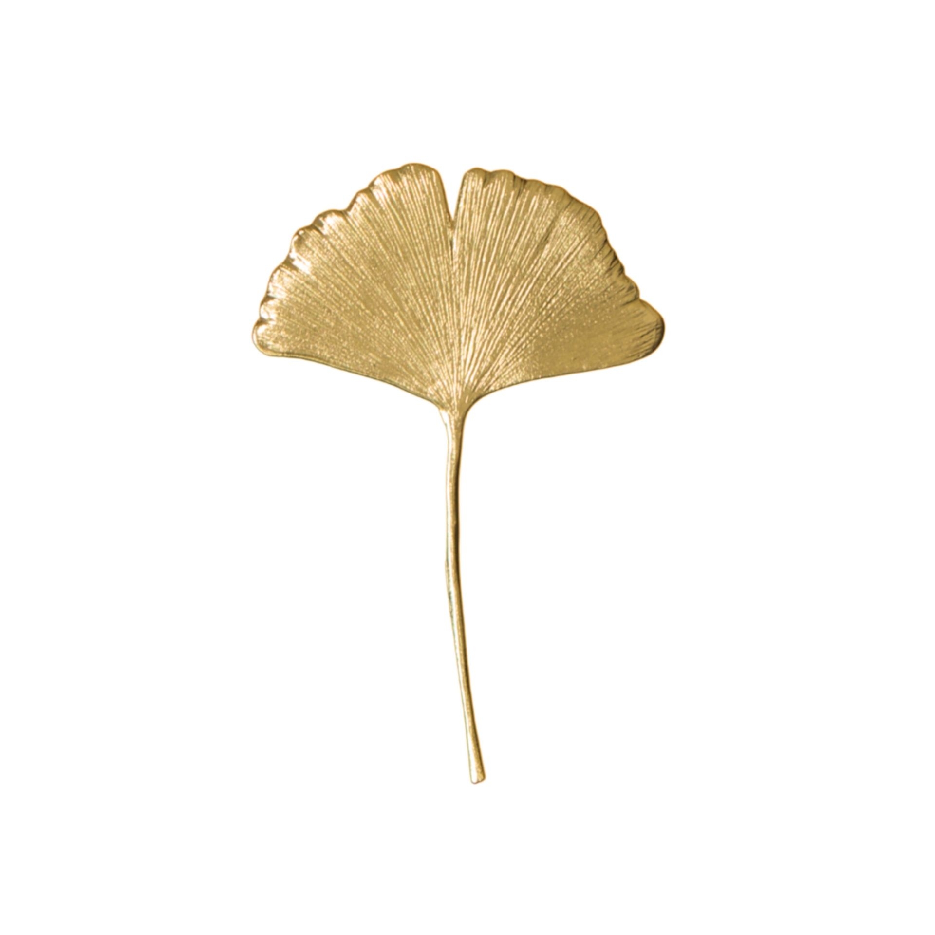 Ginkgo Broş resmi