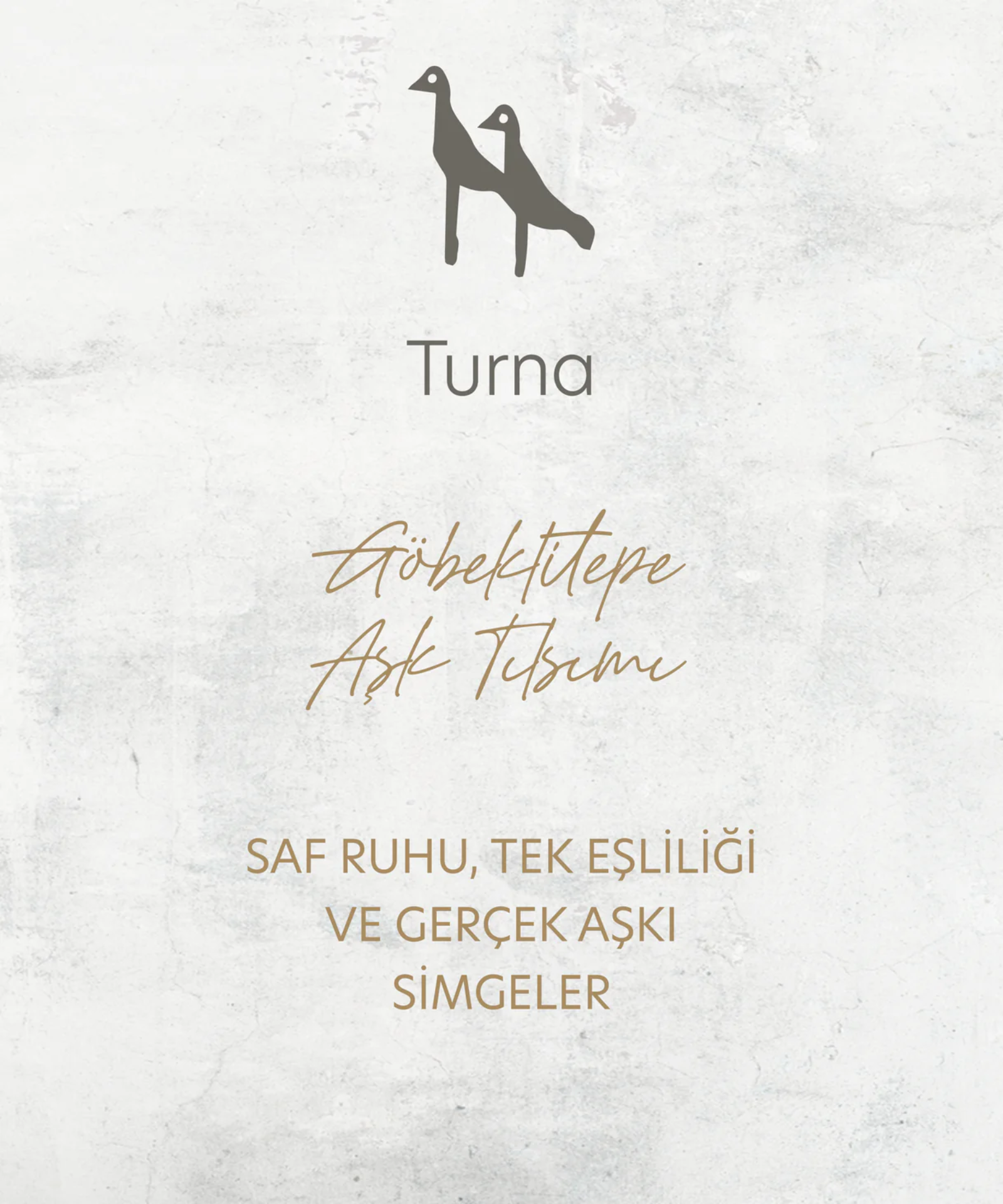 Mercan Turna Kolye resmi